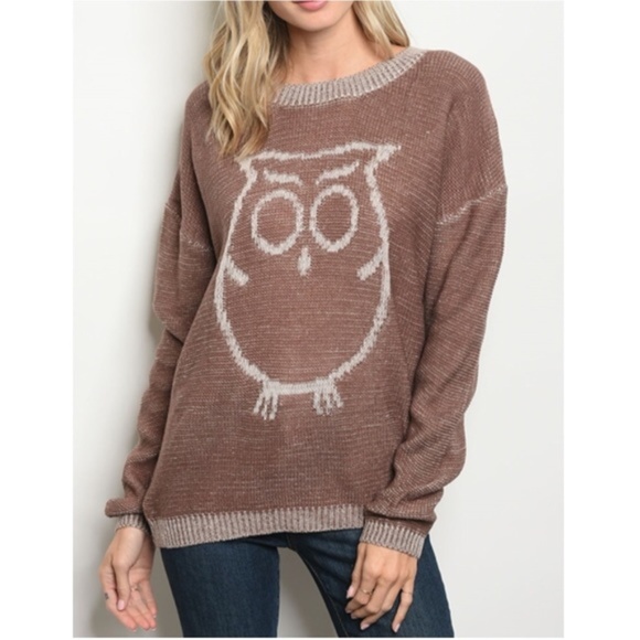 Misty Pearl Sweaters - Comfortable Mauve Owl Sweater